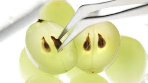 GRAPE SEED OIL - Rakesh Sandal Industries